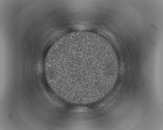 X0000111050210200908061524