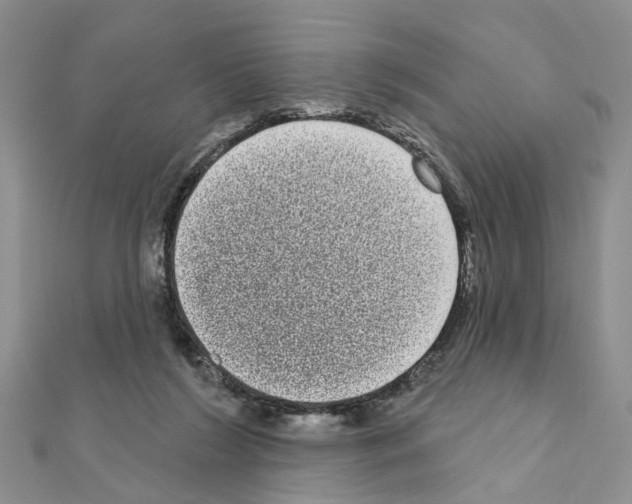 X0000111050212200908061524