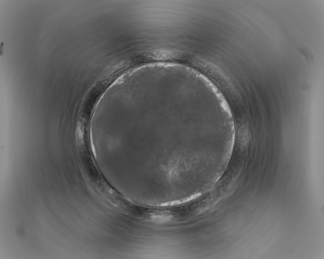 X0000111050214200908061524