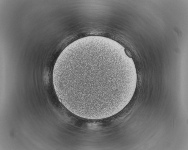 X0000111050216200908061524