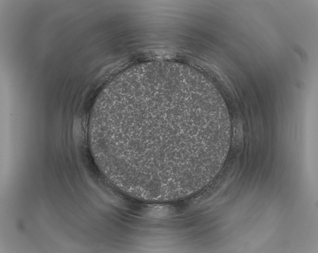 X0000111050218200908061524