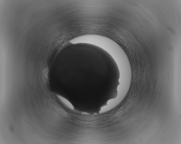 X0000111050219200908061524