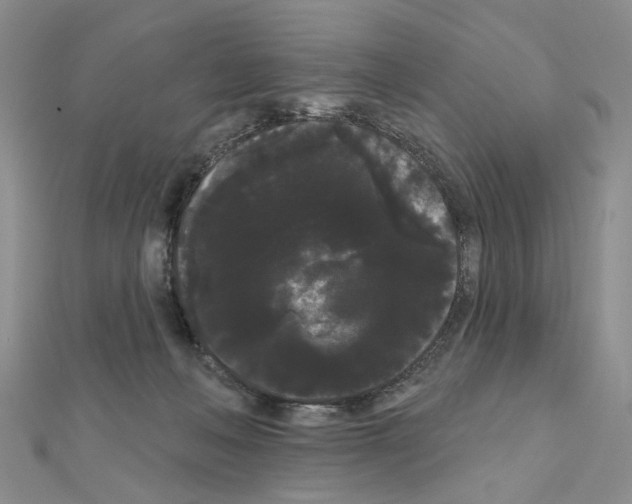 X0000111050222200908061524