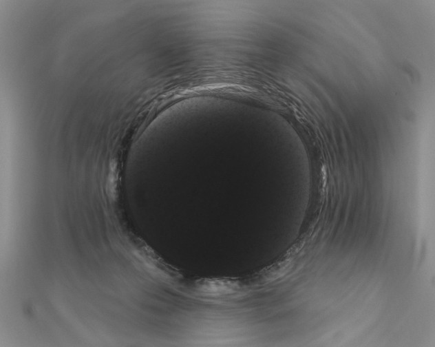 X0000111050223200908061524