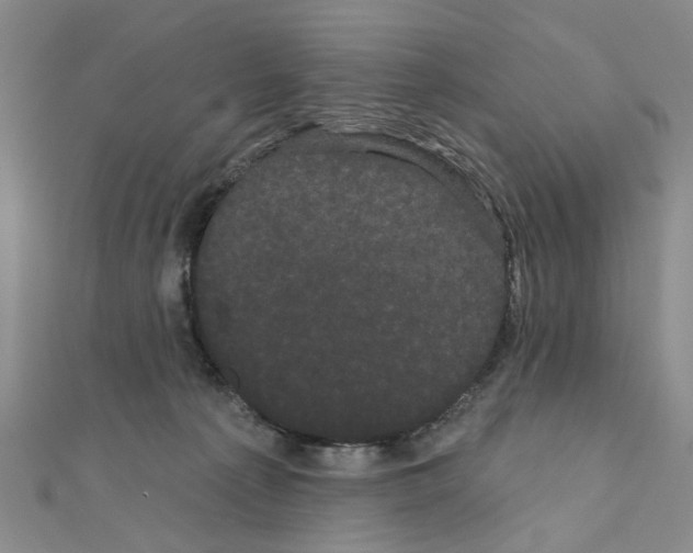 X0000111050225200908061524