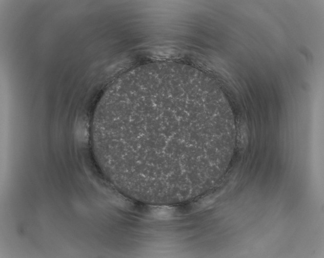 X0000111050226200908061524