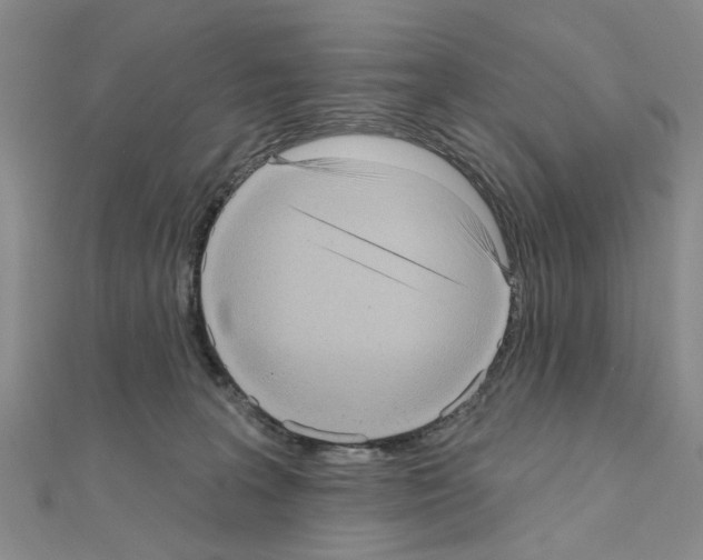 X0000111050227200908061524