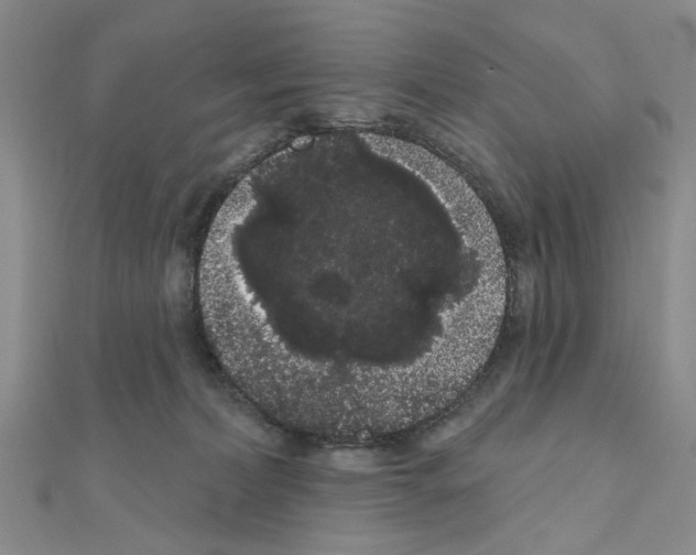 X0000111050228200908061524