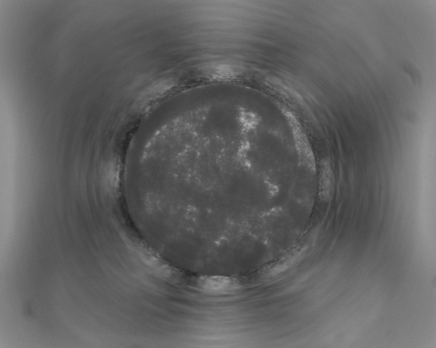 X0000111050230200908061524