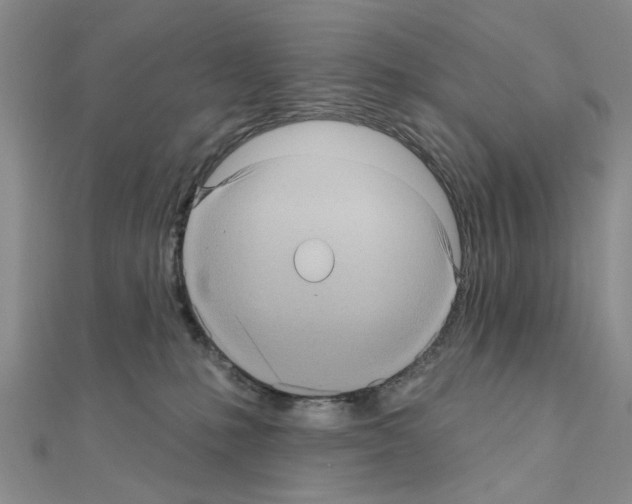 X0000111050231200908061524