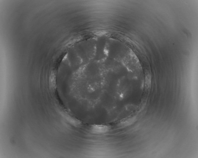 X0000111050234200908061524