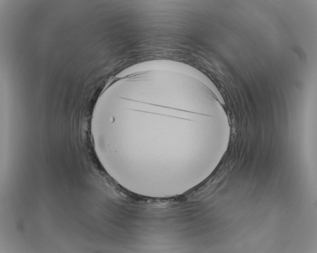 X0000111050235200908061524