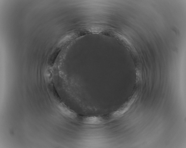 X0000111050237200908061524