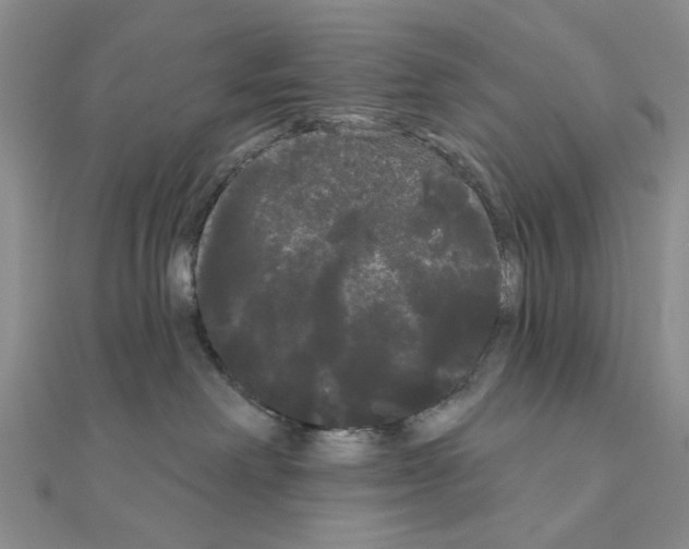 X0000111050238200908061524