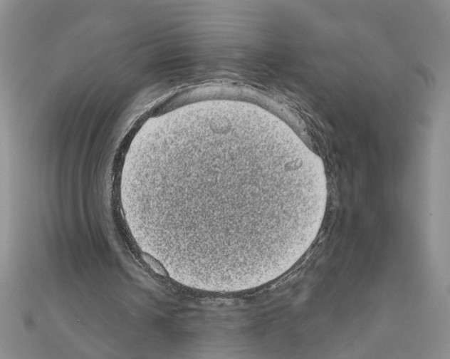 X0000111050242200908061523