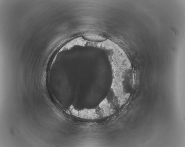 X0000111050243200908061523