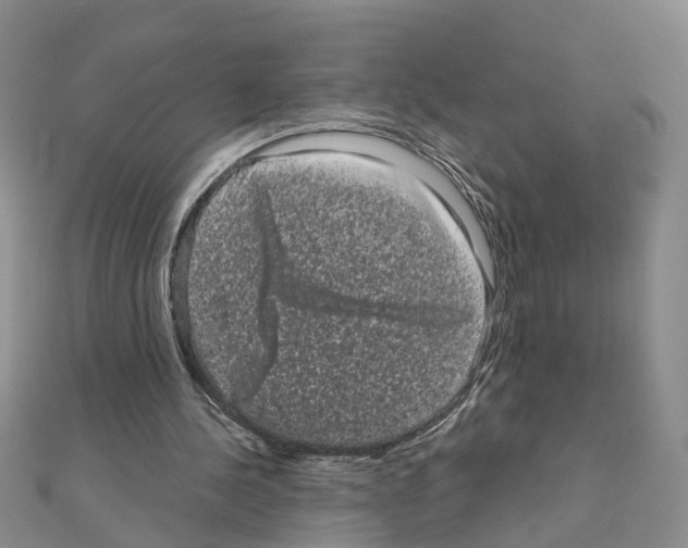 X0000111050244200908061523