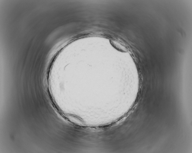 X0000111050245200908061523