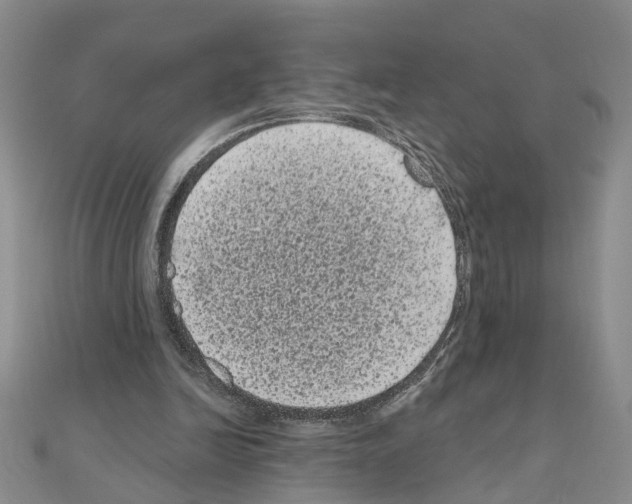 X0000111050246200908061523