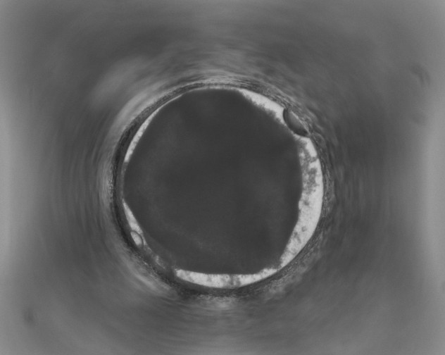 X0000111050247200908061523