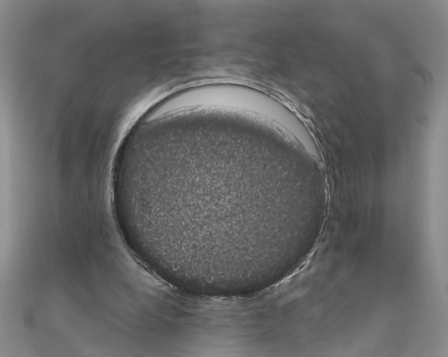 X0000111050248200908061523