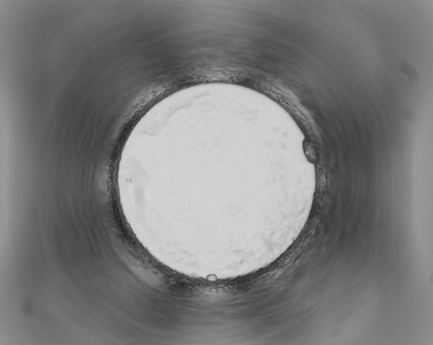 X0000111050250200908061523