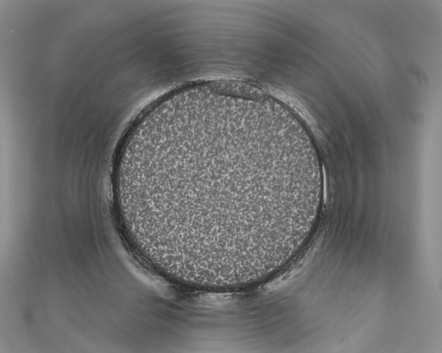 X0000111050252200908061523