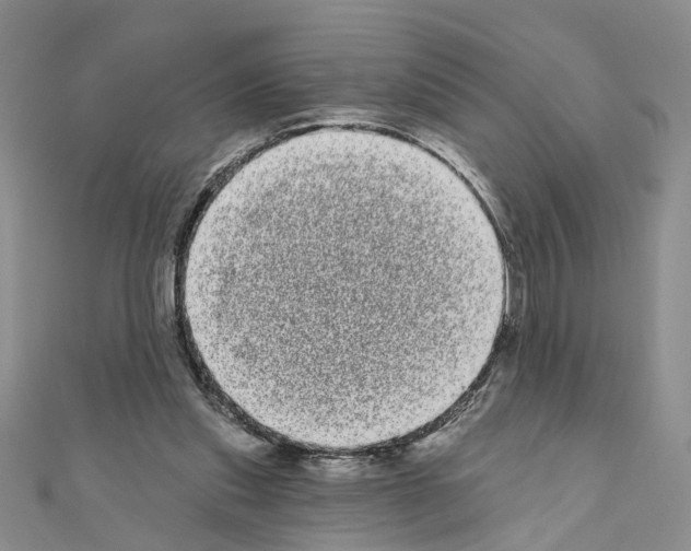 X0000111050253200908061524