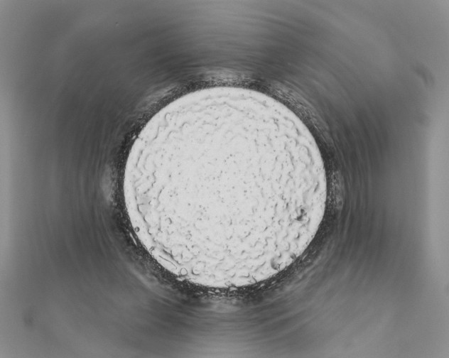 X0000111050255200908061524