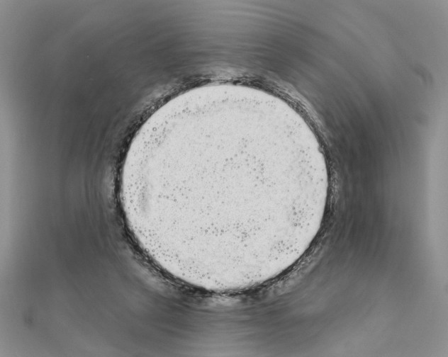 X0000111050257200908061524