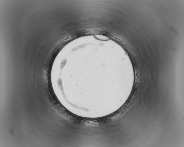 X0000111050258200908061524