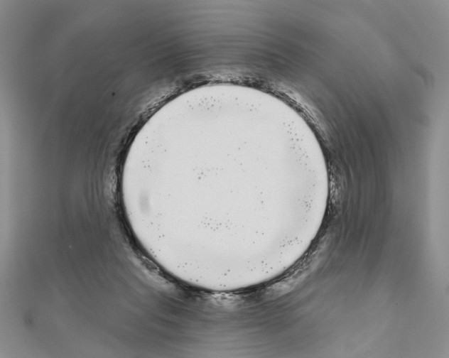 X0000111050261200908061524