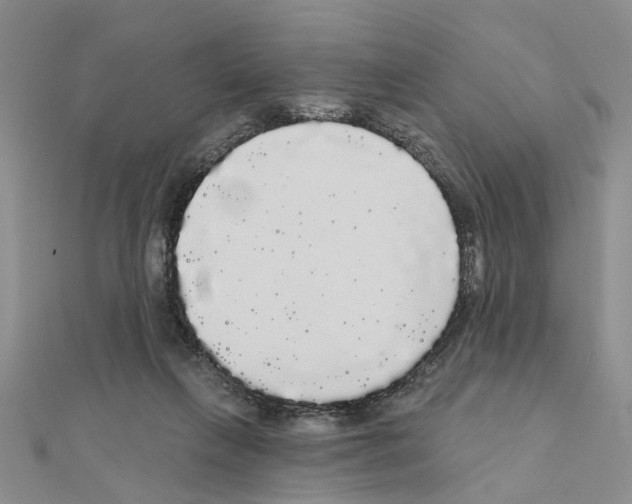 X0000111050263200908061524