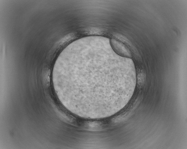 X0000111050264200908061524