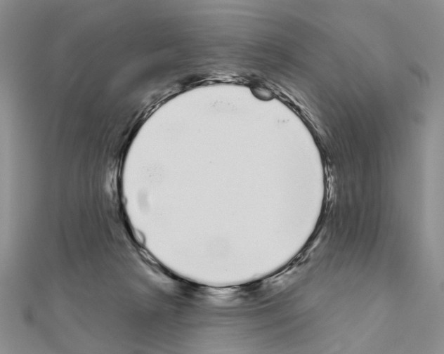 X0000111050265200908061524