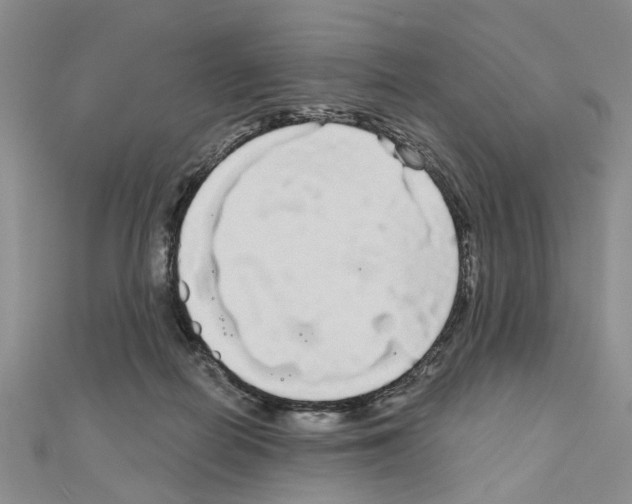 X0000111050266200908061524