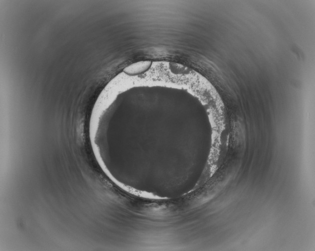 X0000111050267200908061524