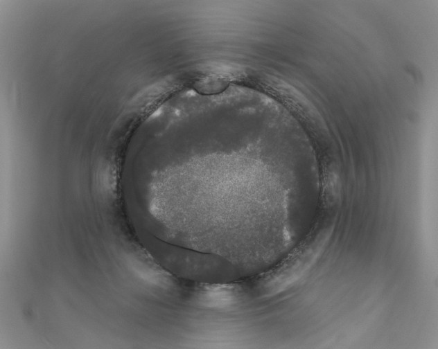 X0000111050268200908061524