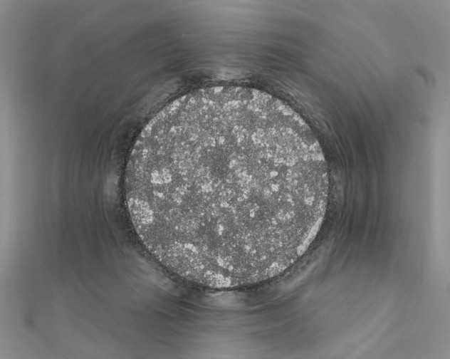 X0000111050269200908061524