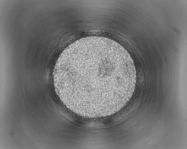 X0000111050270200908061524