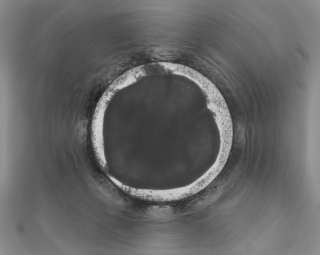 X0000111050271200908061524