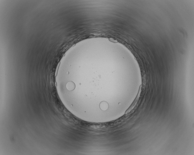 X0000111050272200908061524