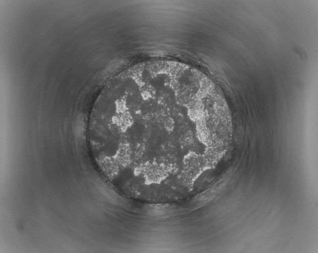 X0000111050273200908061524