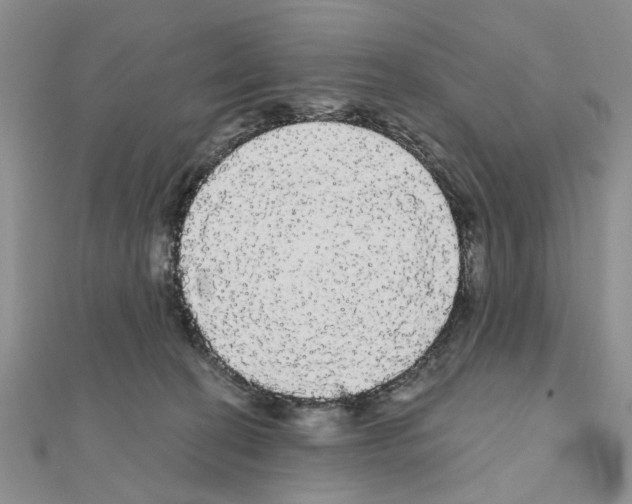 X0000111050274200908061524