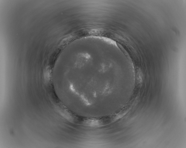 X0000111050276200908061524