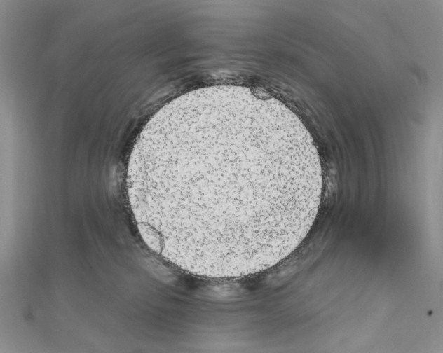 X0000111050278200908061524