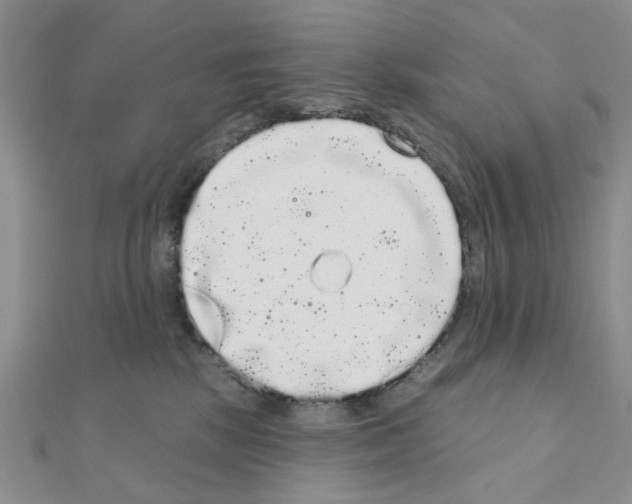 X0000111050281200908061524