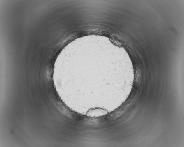 X0000111050282200908061524