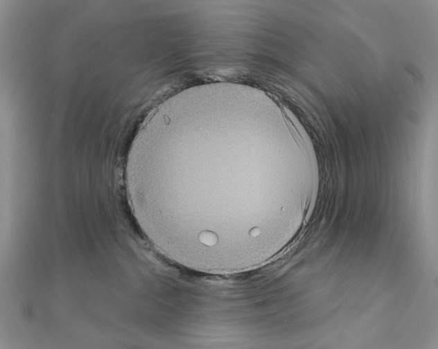 X0000111050284200908061524