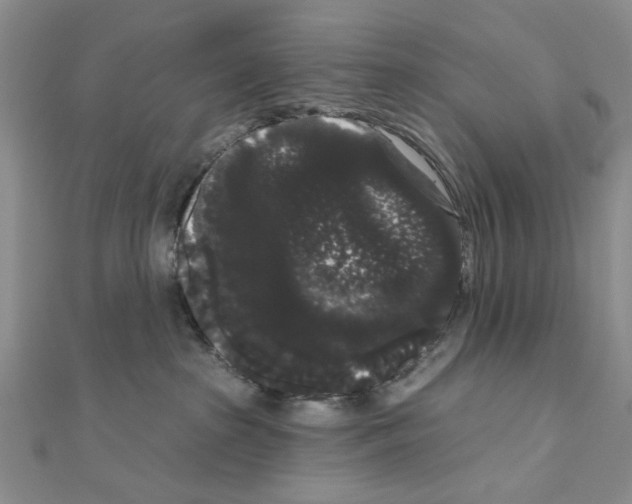 X0000111050285200908061524